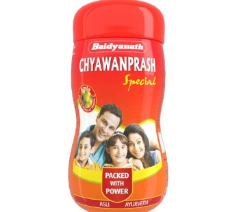 Baidyanath Chyawanprash Special, 500gm