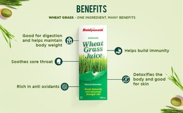 Baidyanath Wheatgrass Juice - Natural, Herbal Detoxifier - 500ml - Image 2