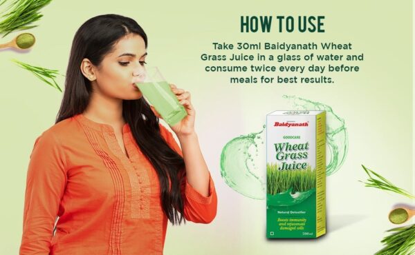 Baidyanath Wheatgrass Juice - Natural, Herbal Detoxifier - 500ml - Image 3