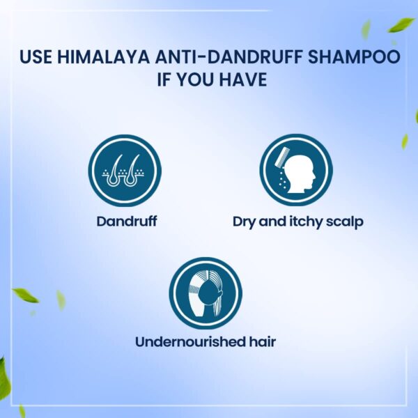 Himalaya Anti Dandruff Shampoo With Tea Tree Removes Dandruff & Soothes Sclap - Image 7